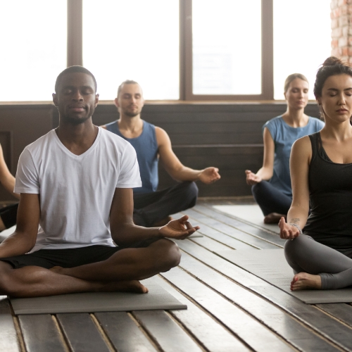 physical-therapy-clinic-pelvic-pain-albatross-physical-therapy-and-wellness-wheaton-il